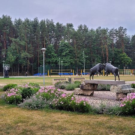 Chalet Villa Rex Druskininkai Buitenkant foto