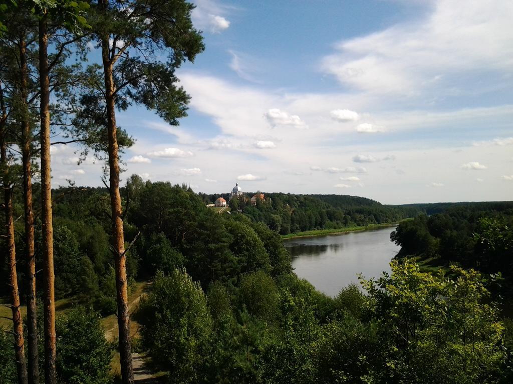 Chalet Villa Rex Druskininkai Buitenkant foto