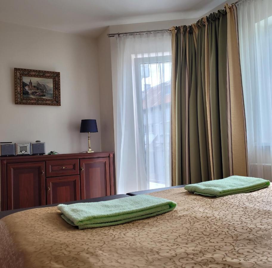 Chalet Villa Rex Druskininkai Buitenkant foto