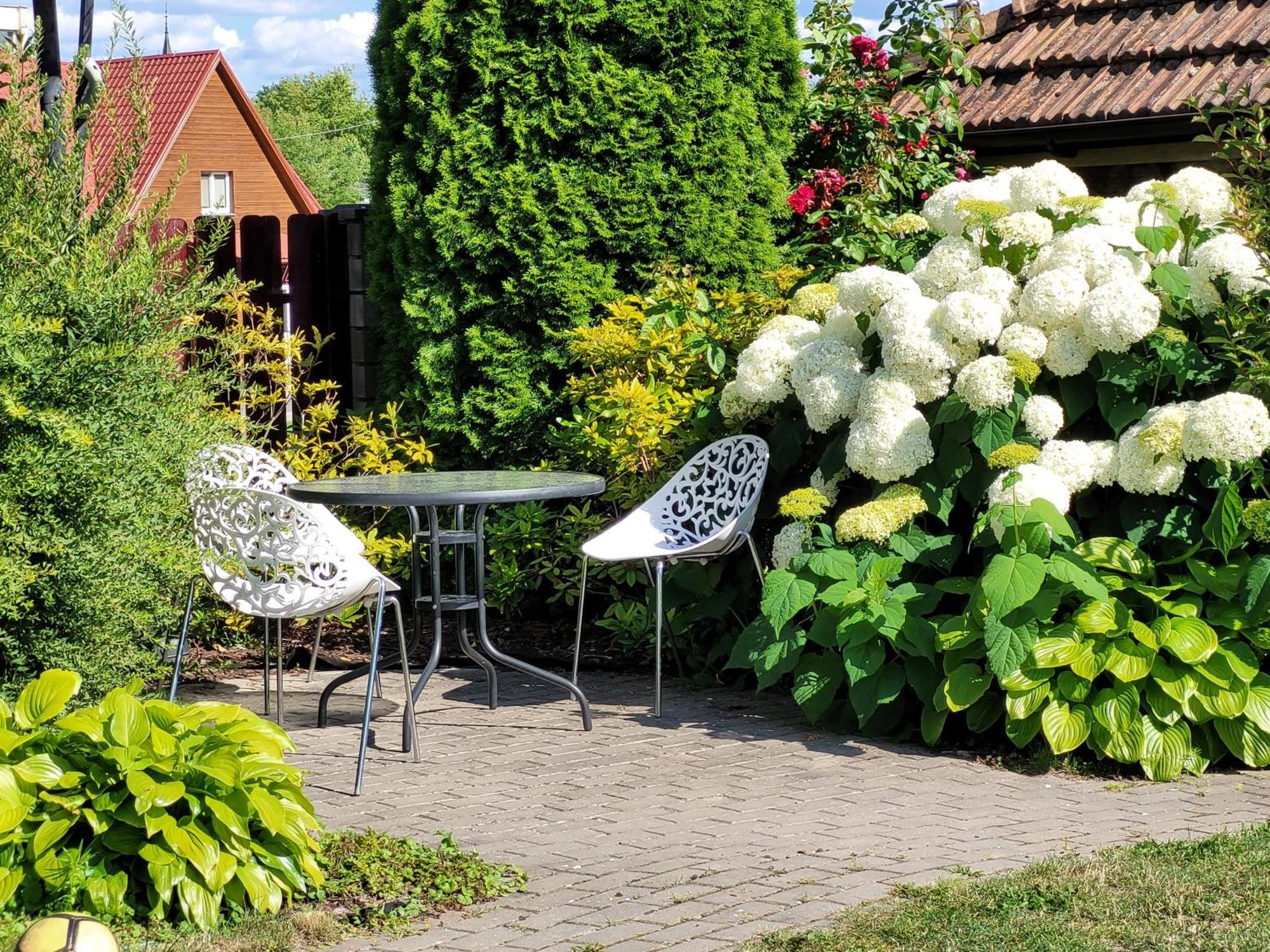 Chalet Villa Rex Druskininkai Buitenkant foto