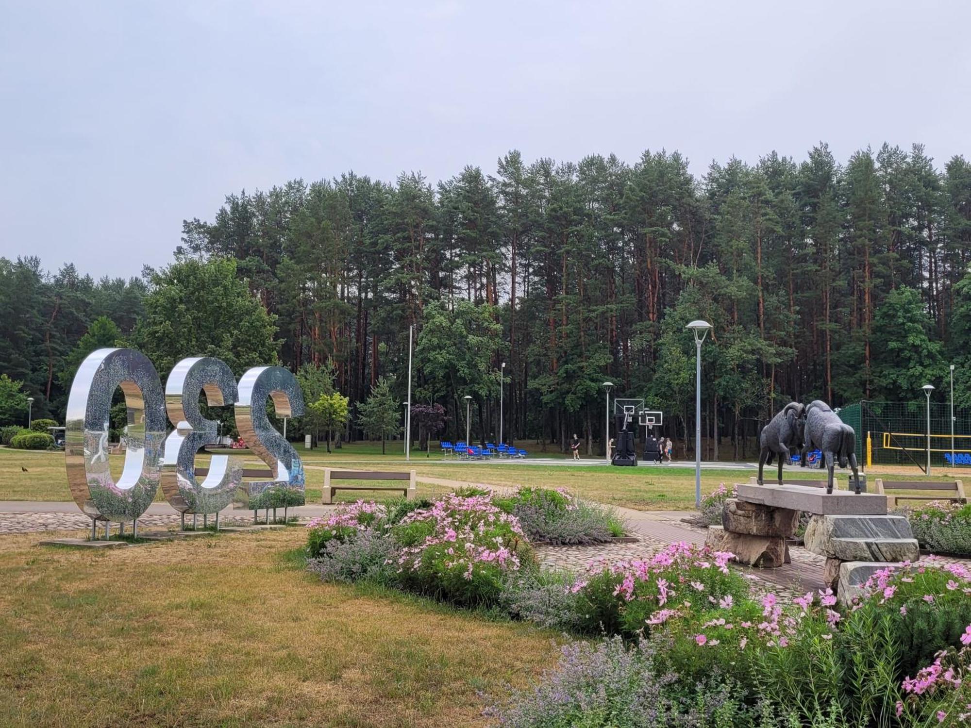 Chalet Villa Rex Druskininkai Buitenkant foto