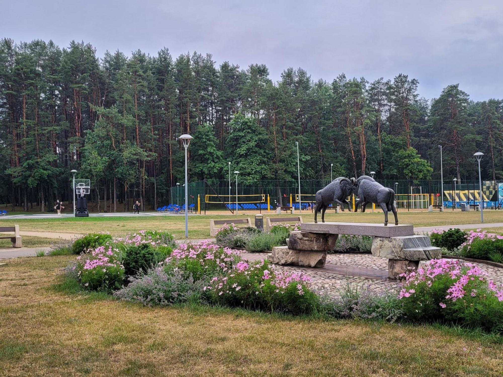 Chalet Villa Rex Druskininkai Buitenkant foto