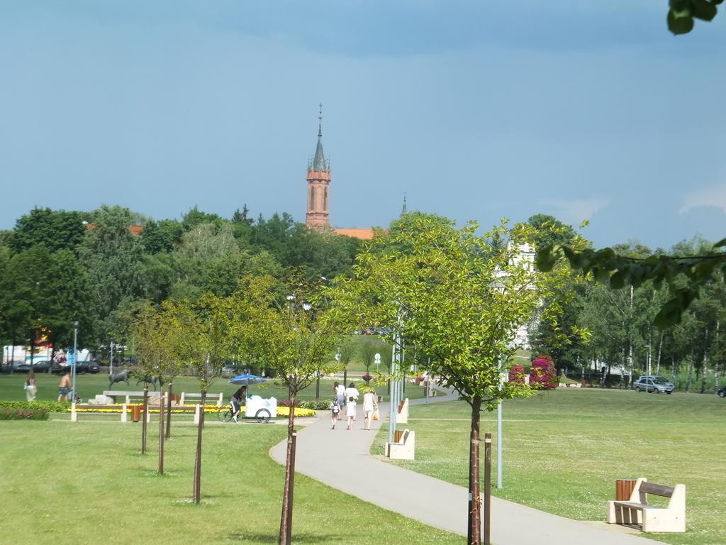 Chalet Villa Rex Druskininkai Buitenkant foto