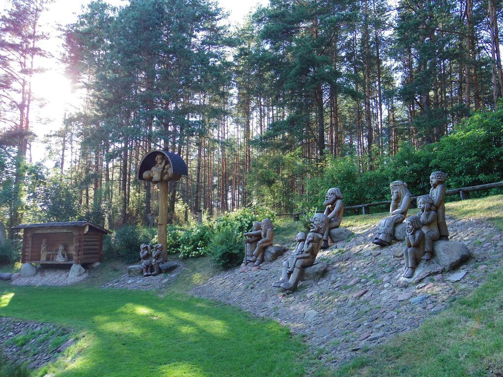Chalet Villa Rex Druskininkai Buitenkant foto