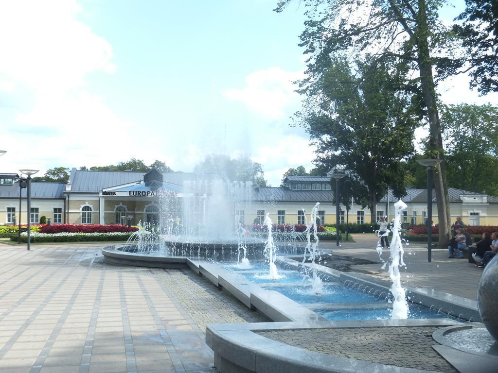 Chalet Villa Rex Druskininkai Buitenkant foto