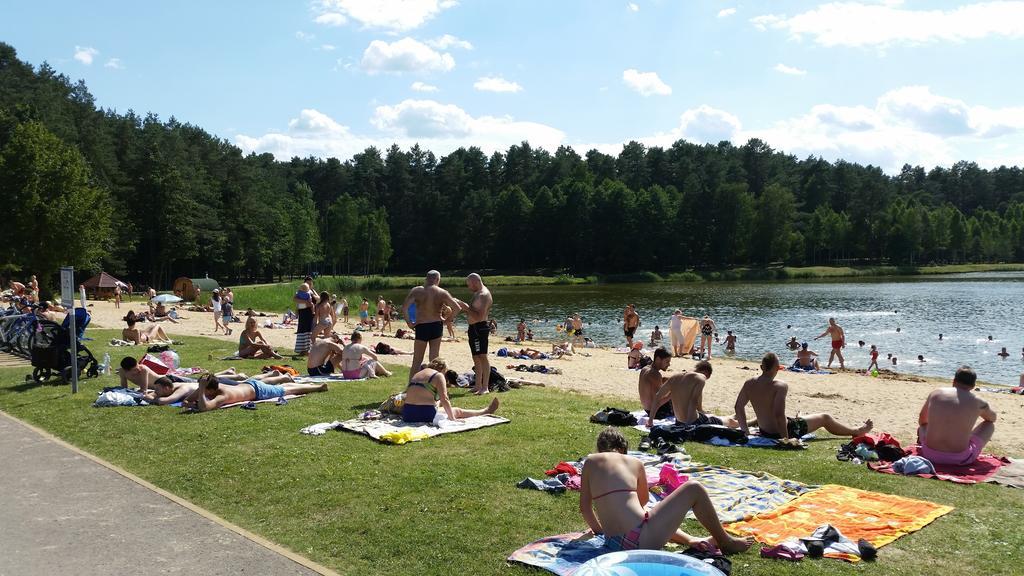 Chalet Villa Rex Druskininkai Buitenkant foto